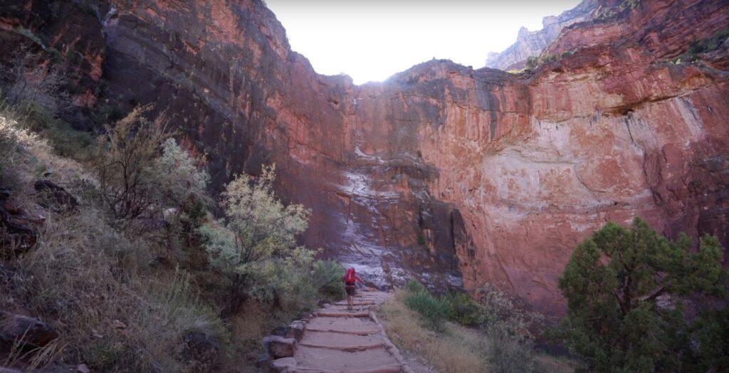 Man next to Grand Canyon